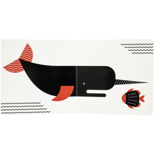 Baby Montessori - Contraste Animais do Oceano - Imagem 4