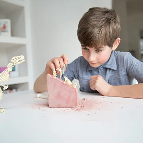 Kit Escavação de Esqueleto de Tiranossauro Rex - Imagem 4