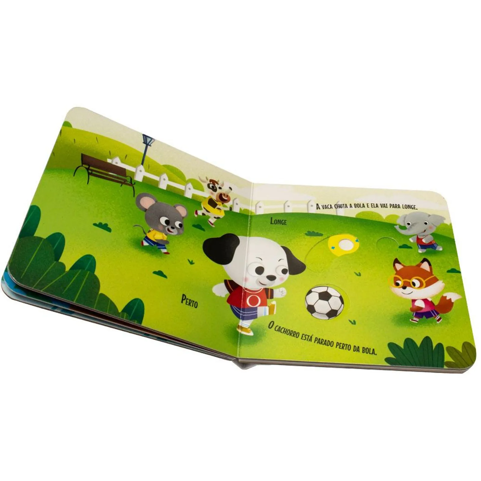 Abas Deslizantes Opostos - Imagem 4