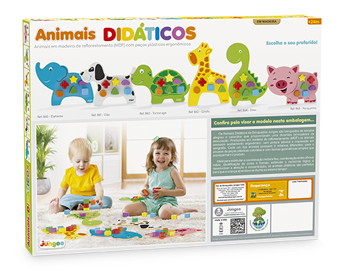 Tartaruga - Animais Didáticos - Imagem 4